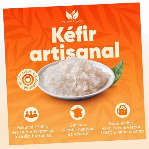 Grains de kéfir d'eau vivants Natural Probio, sélection rigoureuse et service client réactif