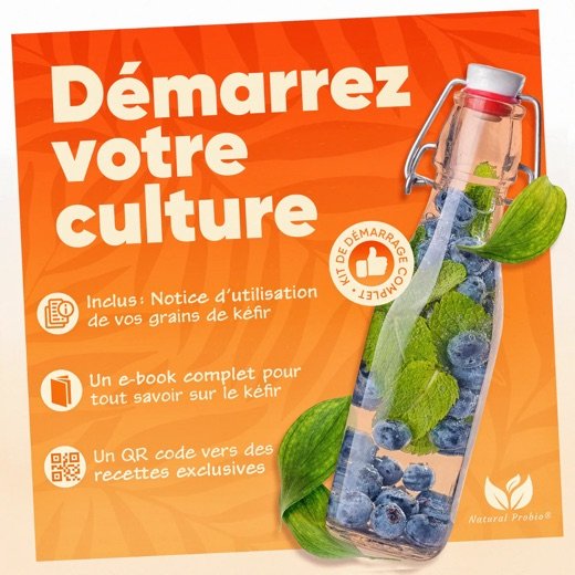 Livret et guides Natural Probio fournis avec le kit complet kéfir de fruit, kéfir de lait et kombucha